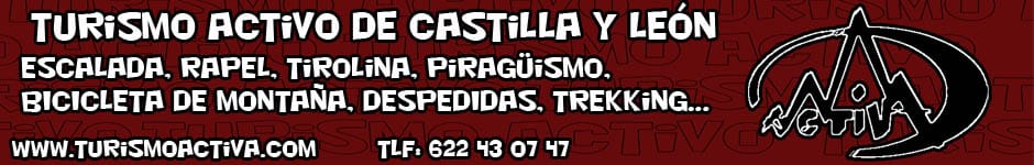 logo pagina wep con las letras copia