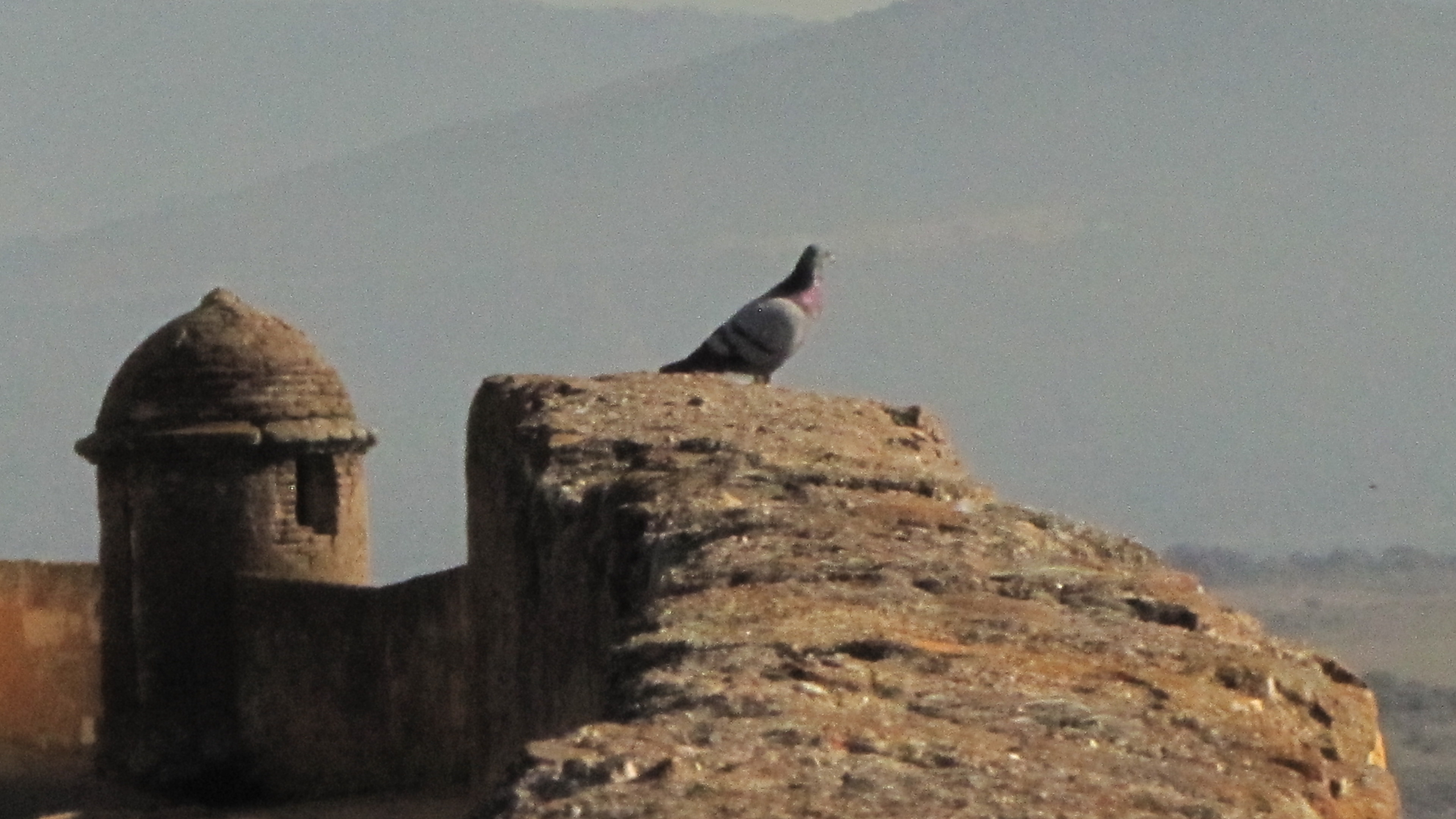 Ciudad Rodrigo 138.jpg