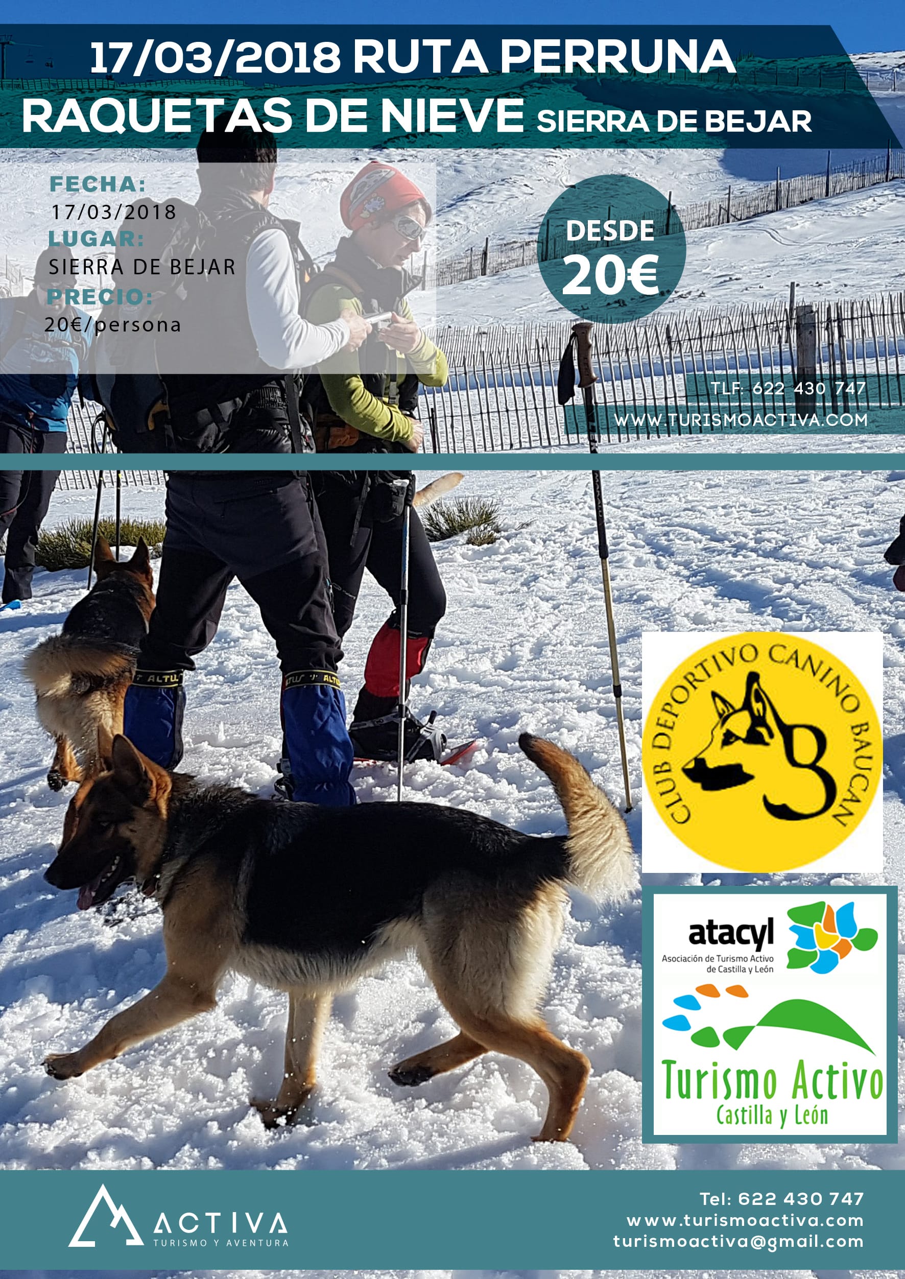 actividad perruna con raquetas de nieve