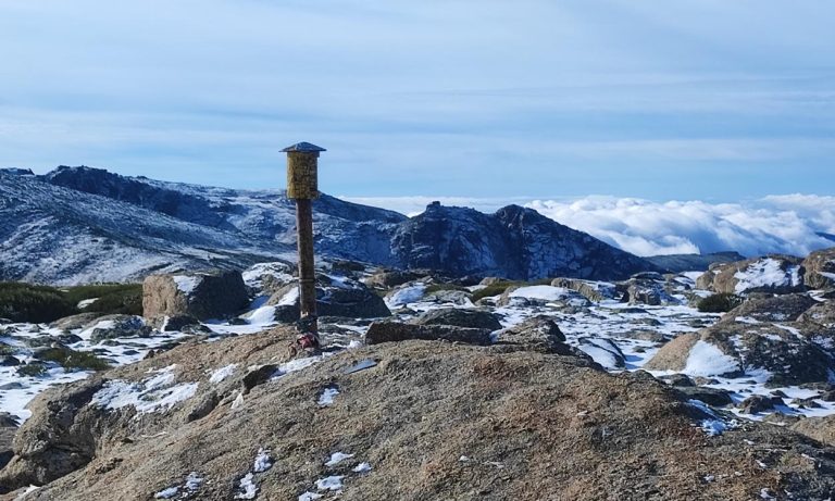 Pico Calvitero Sierra de Bejar web