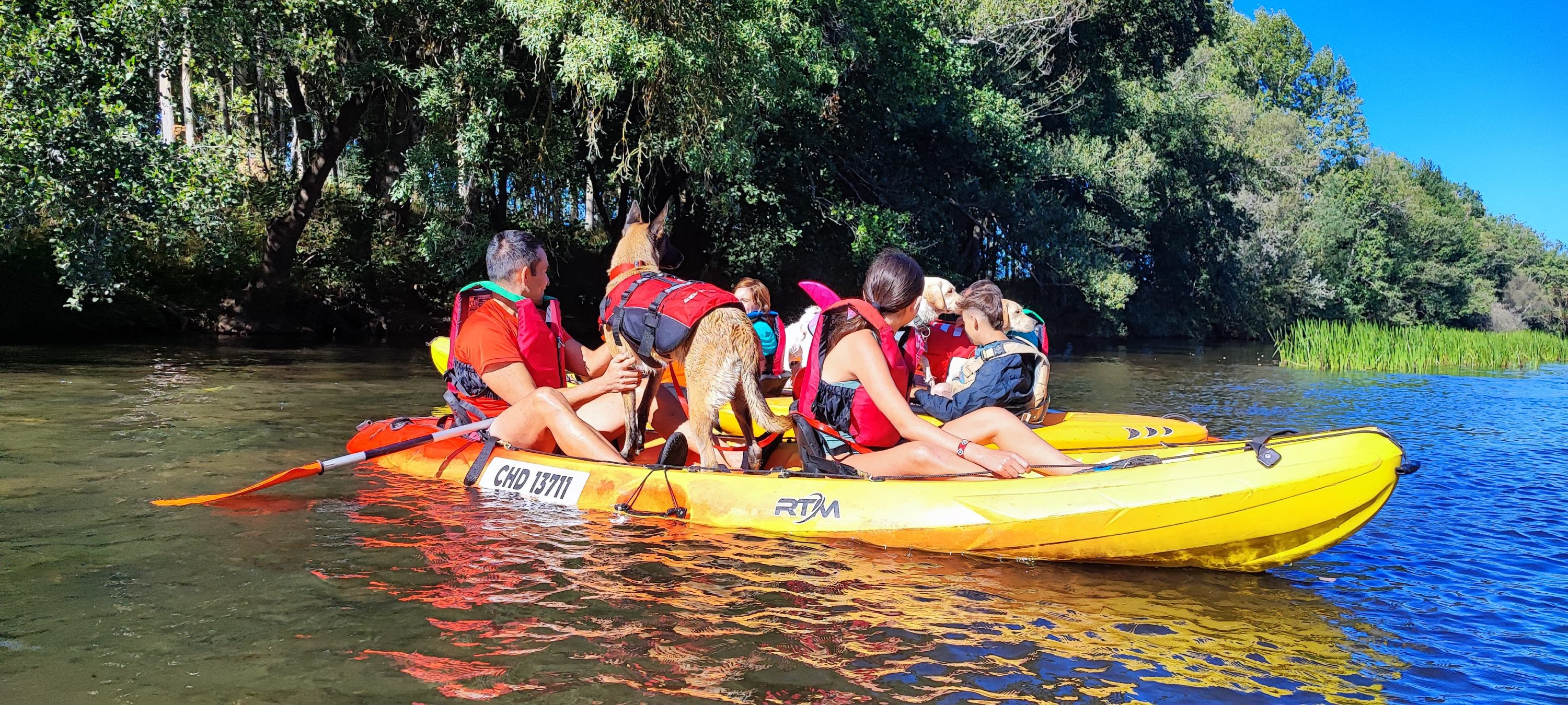Perros en la Piragua