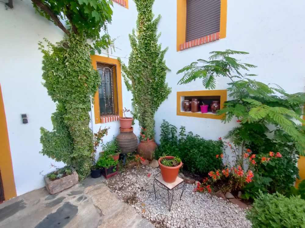 1_364_imgGr_123156IMG-20220607-WA0054