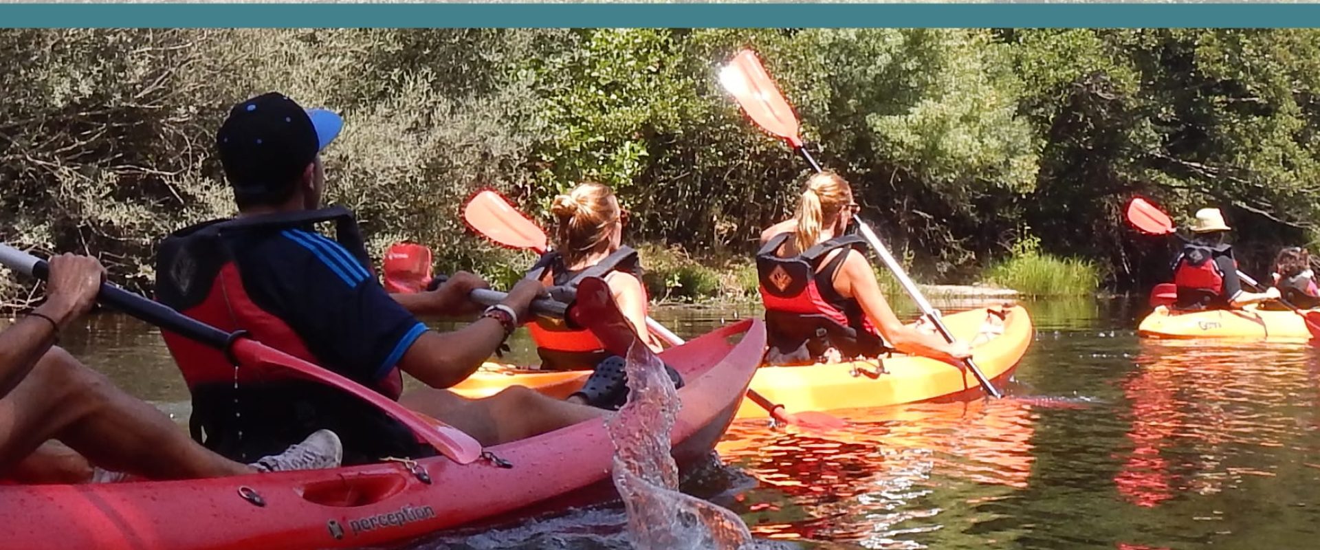 DESCENSO DE LA CAMISETA WWW